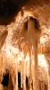 PICTURES/Caverns of Sonora - Texas/t_Giant Squid Formation.JPG